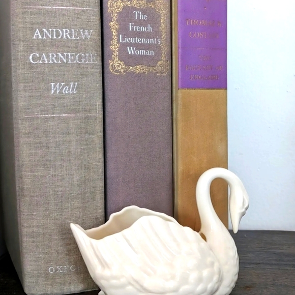 Swan - Picture 1 of 1